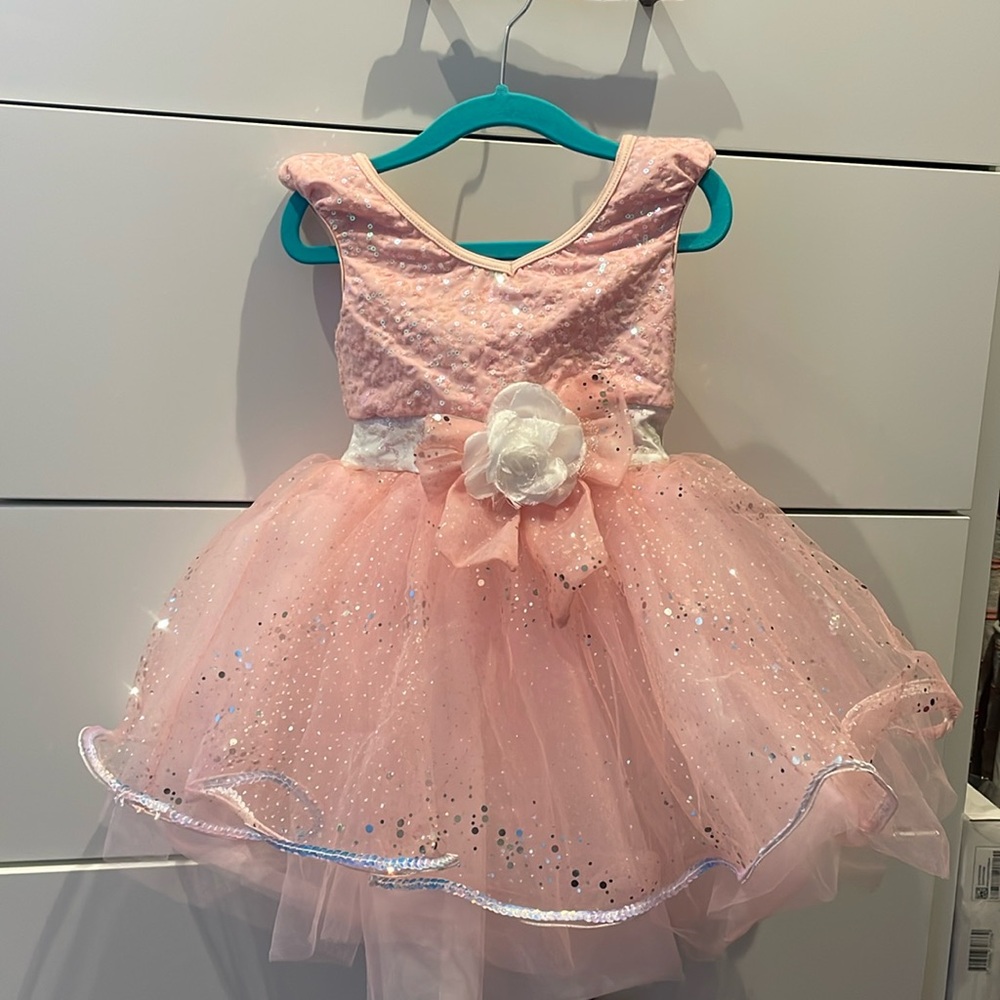 Princess costume - 3T/4T